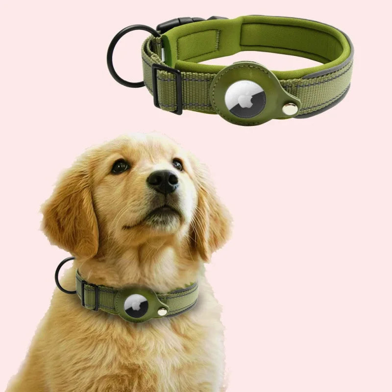 A golden retriever wearing a olive green reflective airtag dog collar.