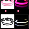 LED-Sicherheits-Hundeleine und Halsband-Set