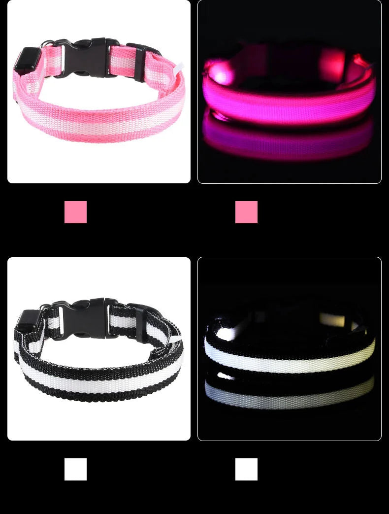 LED-Sicherheits-Hundeleine und Halsband-Set