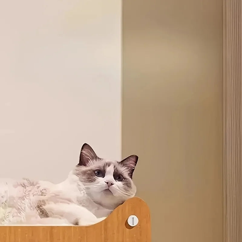 Un chat gris et blanc est allongé sur une surface en bois dans une pièce lumineuse.