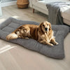 Plush Dog Bed Sofa with Thickened Cushion