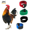 Adjustable Nylon Anti-Crowing Collar for Chickens, Ducks, and Geese