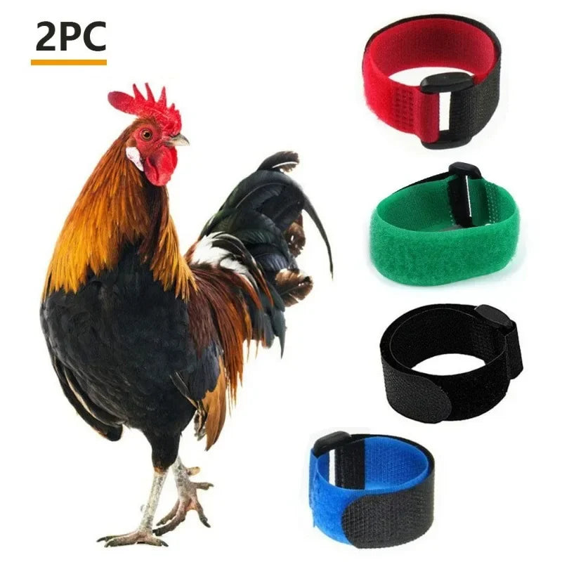 Adjustable Nylon Anti-Crowing Collar for Chickens, Ducks, and Geese