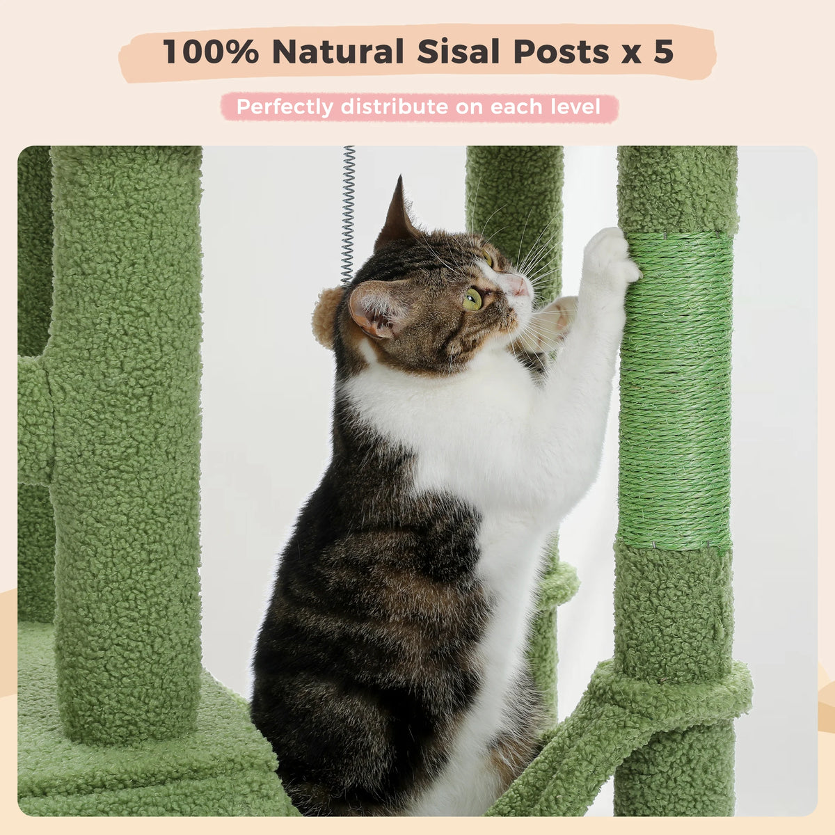 A tabby cat is climbing and using five natural sisal posts on a green cat tree tower.