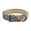 Heavy-Duty Nylon Dog Collar with Padded Lining and Metal Buckle