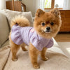 A fluffy apricot dog wearing a lavender pet dress with flutter sleeves standing indoors.