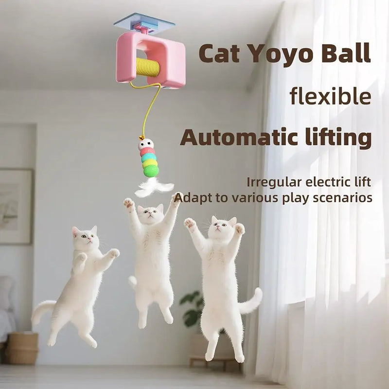 Jouet Interactif pour Chat avec Corde Rétractable