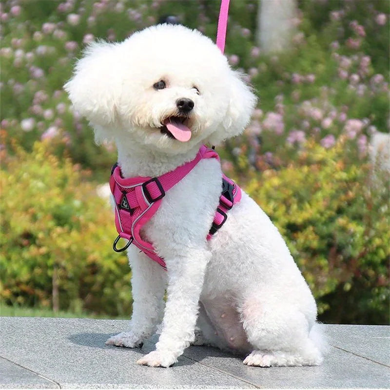Adjustable No-Pull Dog Harness with Reflective Leash Set