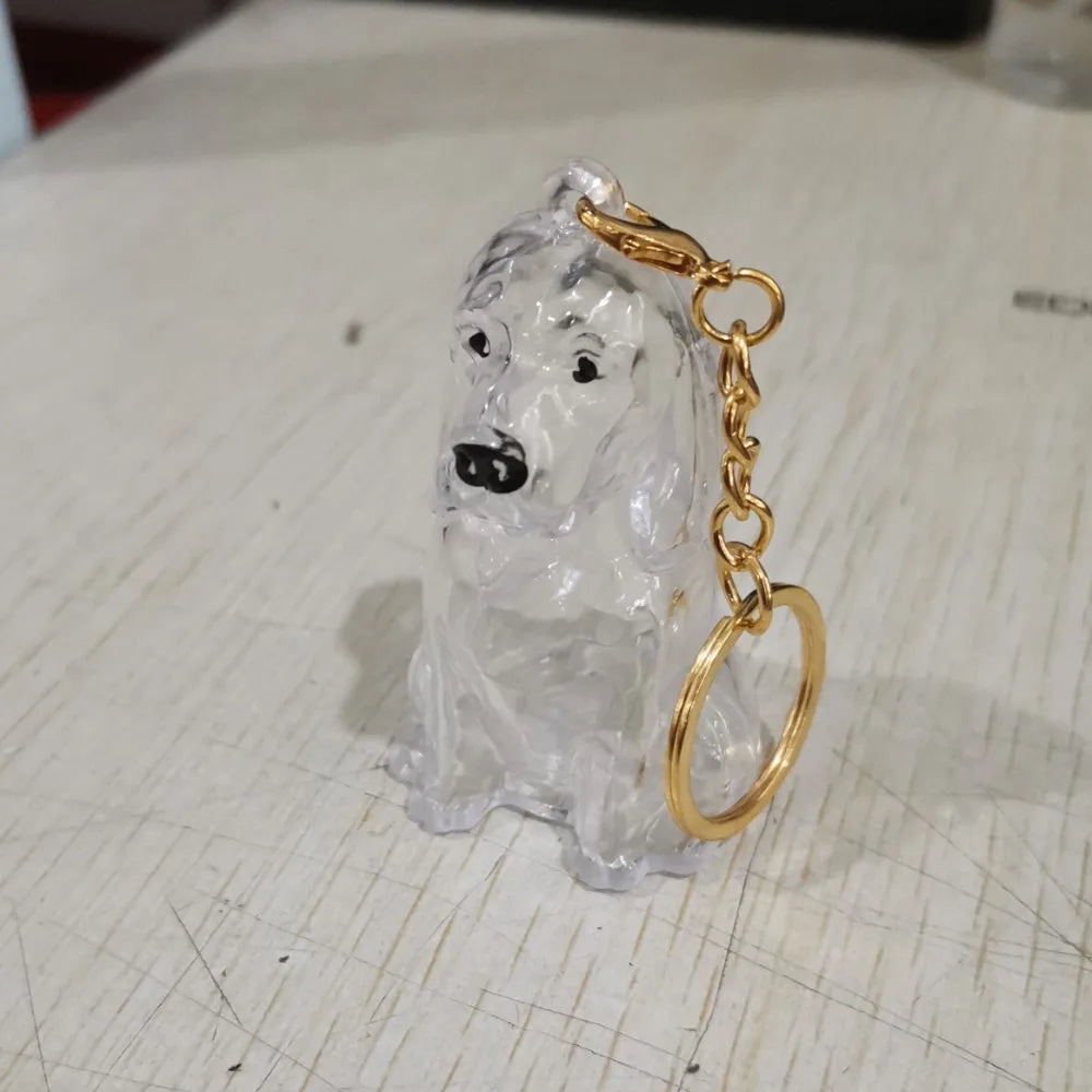 Pet Hair Storage Keychain – Transparent Dog & Cat Fur Keepsake Pendant