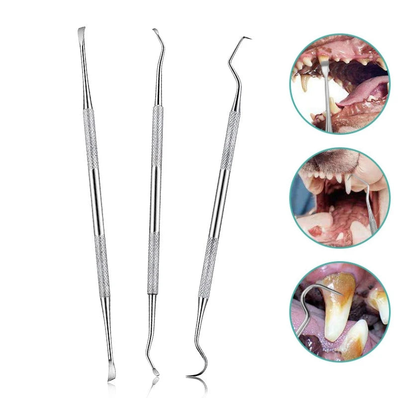 Stainless steel dog tooth cleaner set showing various dental tools and close-ups of teeth