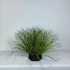 A clump of green simulated onion grass used as a garden decoration