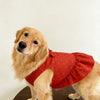 Summer Dog Dress - Lightweight Printed Apparel for Large Breeds