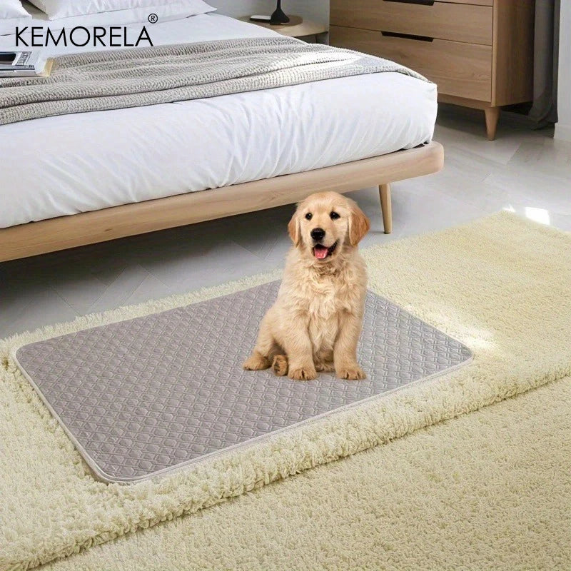 Reusable Pet Training Mat for Dogs