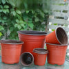 Plastic Plant Nursery Pots with Drainage Holes (Set of 10)