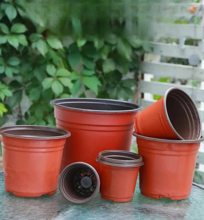 Plastic Plant Nursery Pots with Drainage Holes (Set of 10)