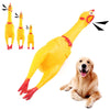 A yellow rubber chicken squeaky dog toy with a red beak and legs is shown next to a golden retriever.