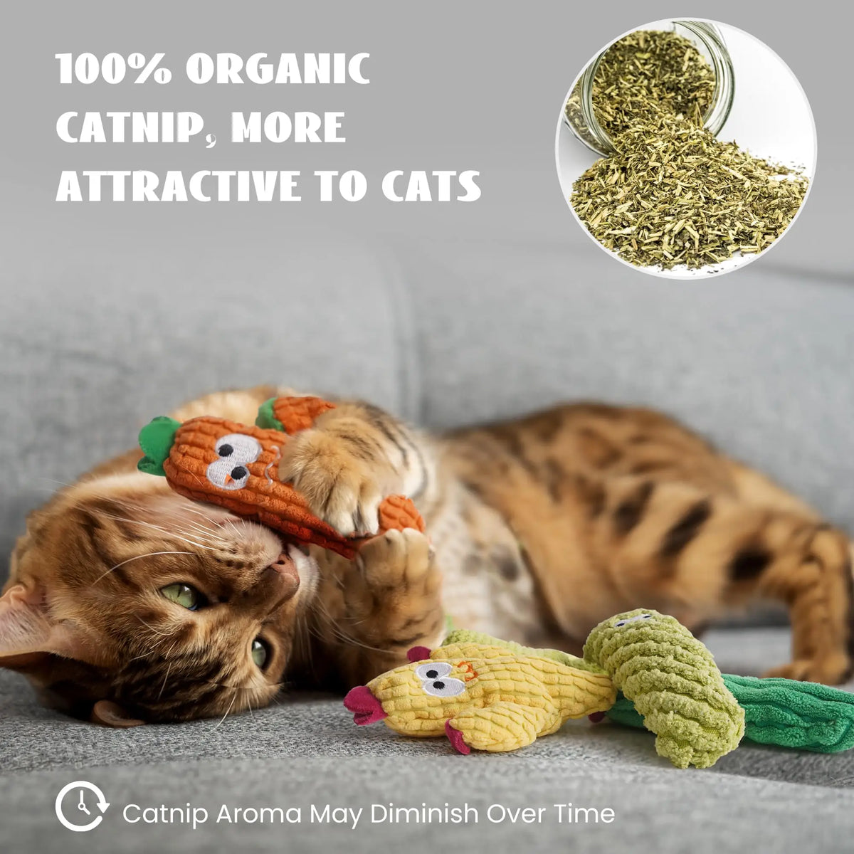 Organic Catnip-Filled Cactus Cat Toys (Set of 5)