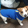 Warm Winter Vest for Small Dogs and Cats