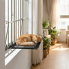 A fluffy orange cat is relaxing in a black mesh window hammock mounted on a window ledge.