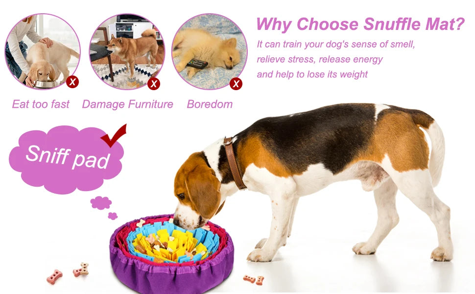 A dog is interacting with a purple snuffle mat filled with yellow treats and fabric to engage its sense of smell.
