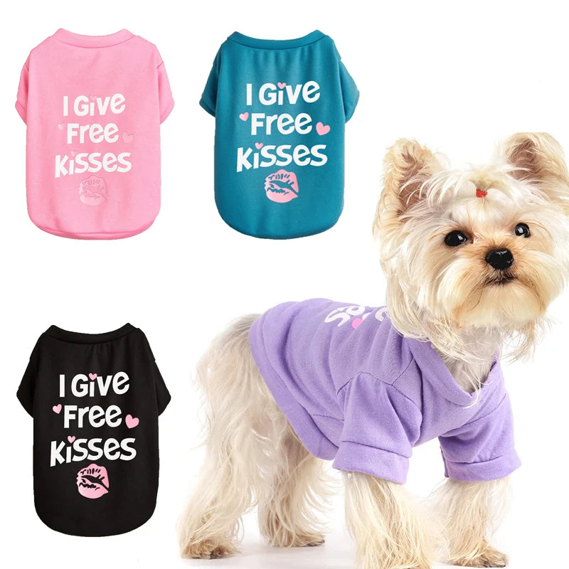 A fluffy white dog is wearing a purple vest with pink text that says I Give Free Kisses.