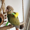 Adjustable Parrot Harness and Leash Set for Small Birds
