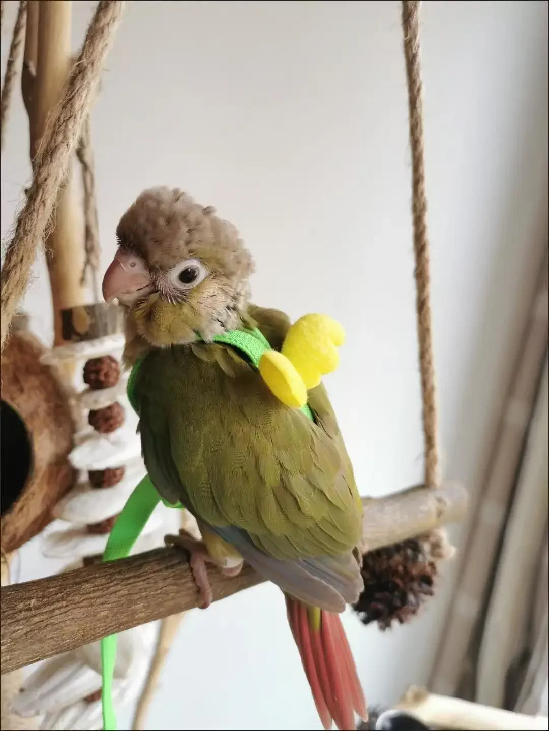 Adjustable Parrot Harness and Leash Set for Small Birds