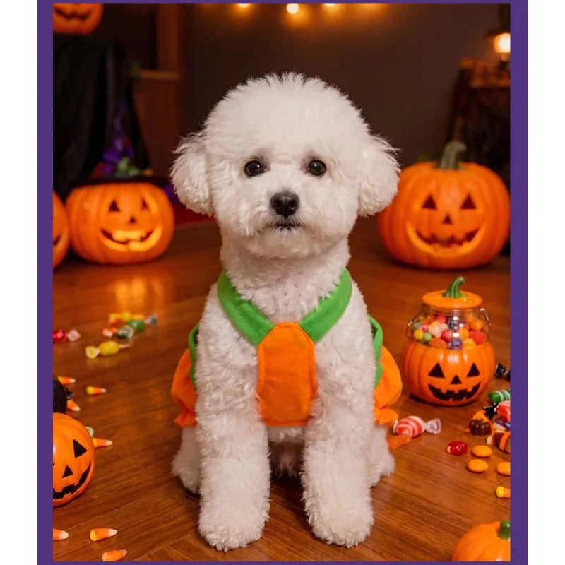 Adjustable Halloween Pumpkin Overall Costume for Small Dogs and Cats
