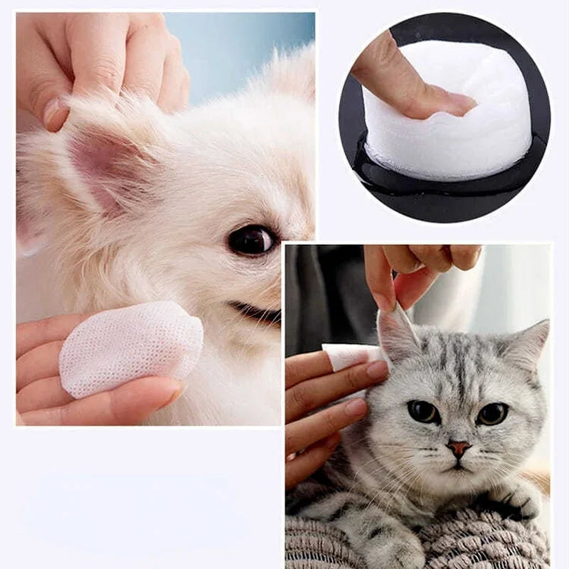 Close-up of a dog and cat being cleaned with white pet eye and ear cleaning wipes.