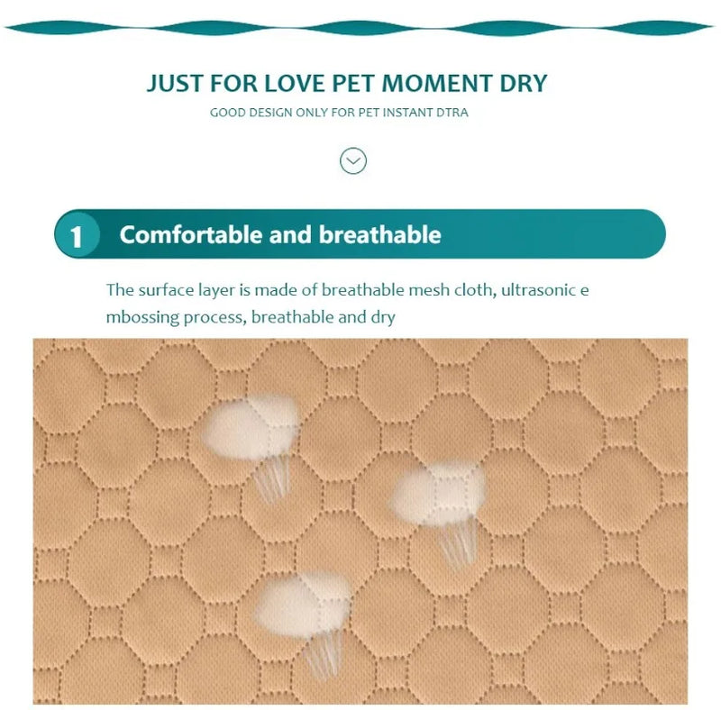 Couverture Réutilisable et Lavable pour Pipis de Chien