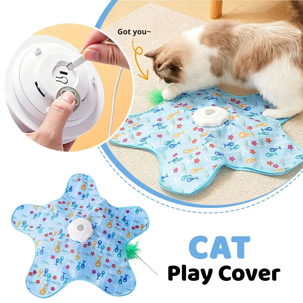 Interactive Hide-and-Seek Cat Toy with Feather Teaser