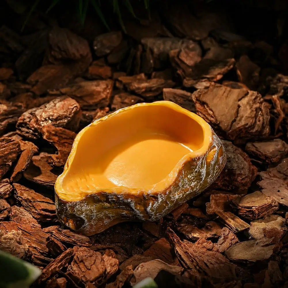 Reptile Feeding and Water Bowl with Natural Tree Stump Design