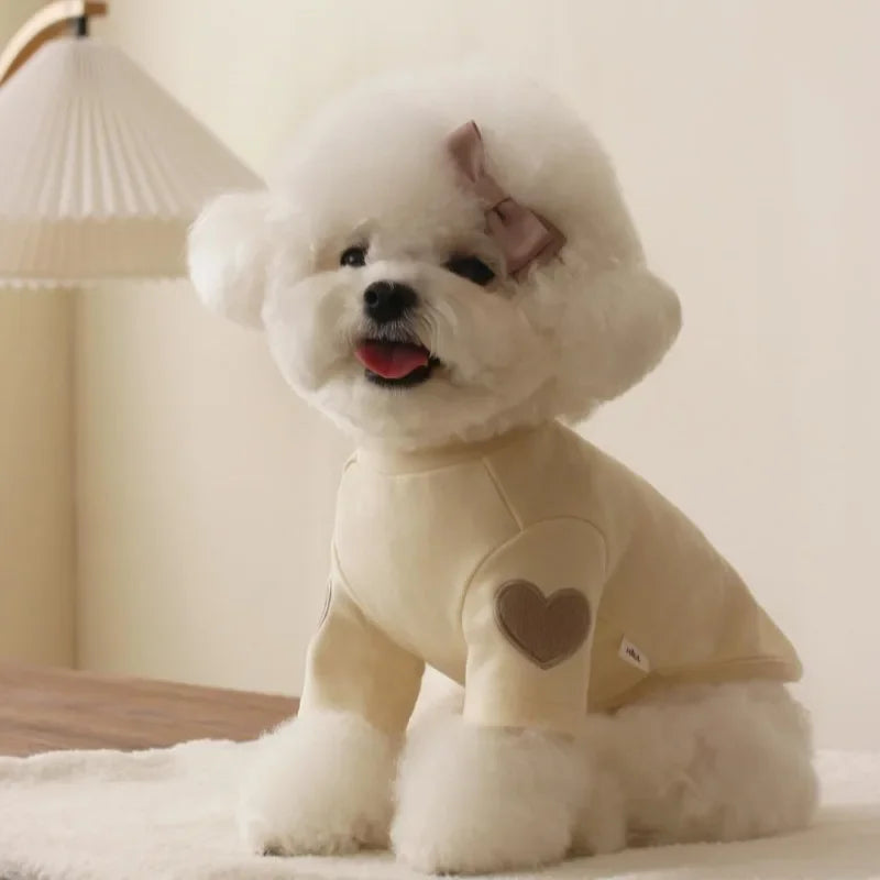Un perro blanco y esponjoso vistiendo una sudadera de oso beige acogedora, sentado sobre una superficie blanca.