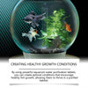 Aquarium Water Purifying Tablets – 35 Count for Clear, Healthy Water