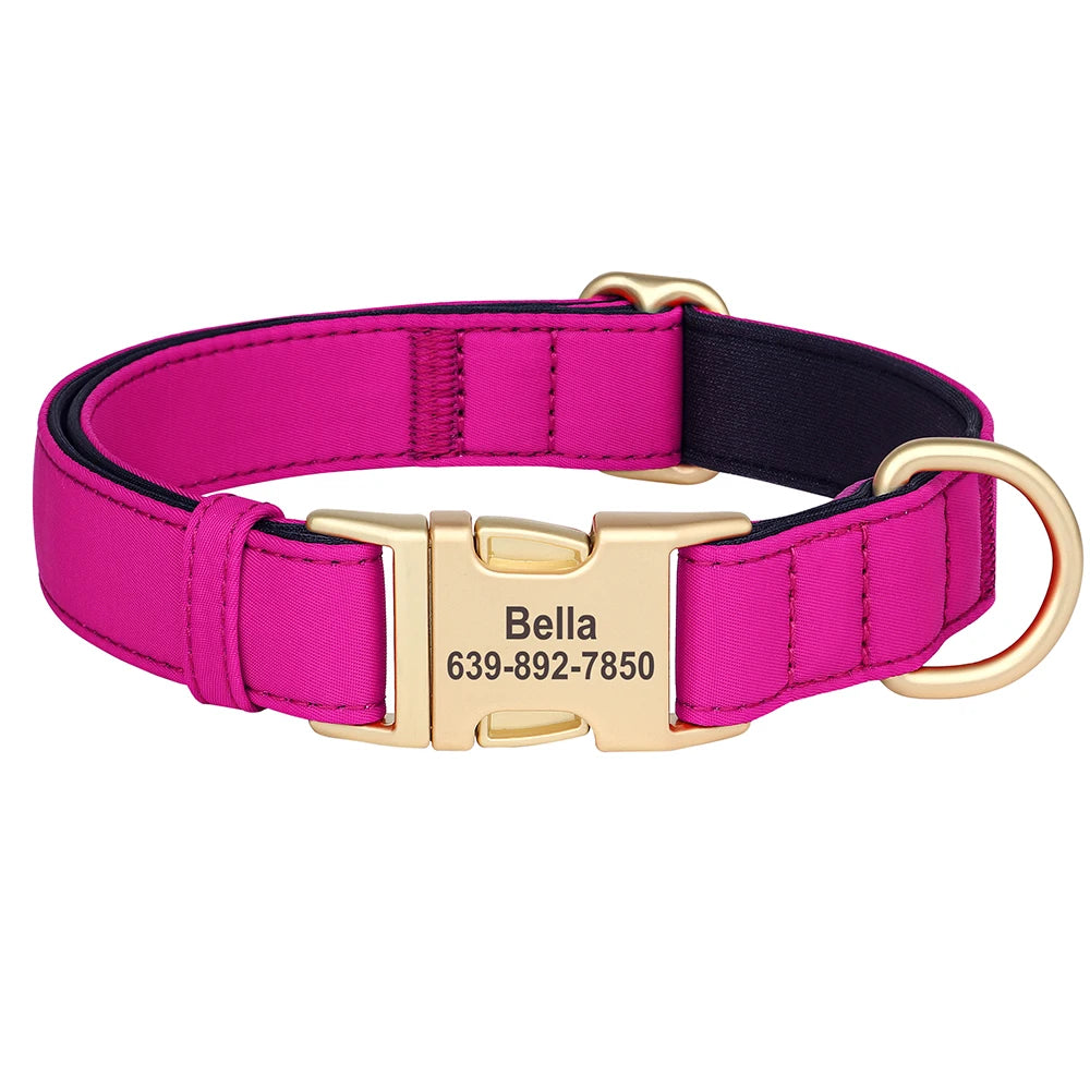 A bright pink padded dog collar with a gold buckle and custom ID engraving 639-892-7850.