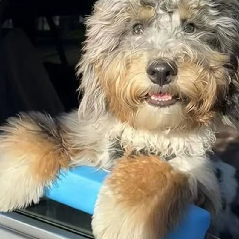 A fluffy dog rests its paws on a blue car window chin rest cushion.