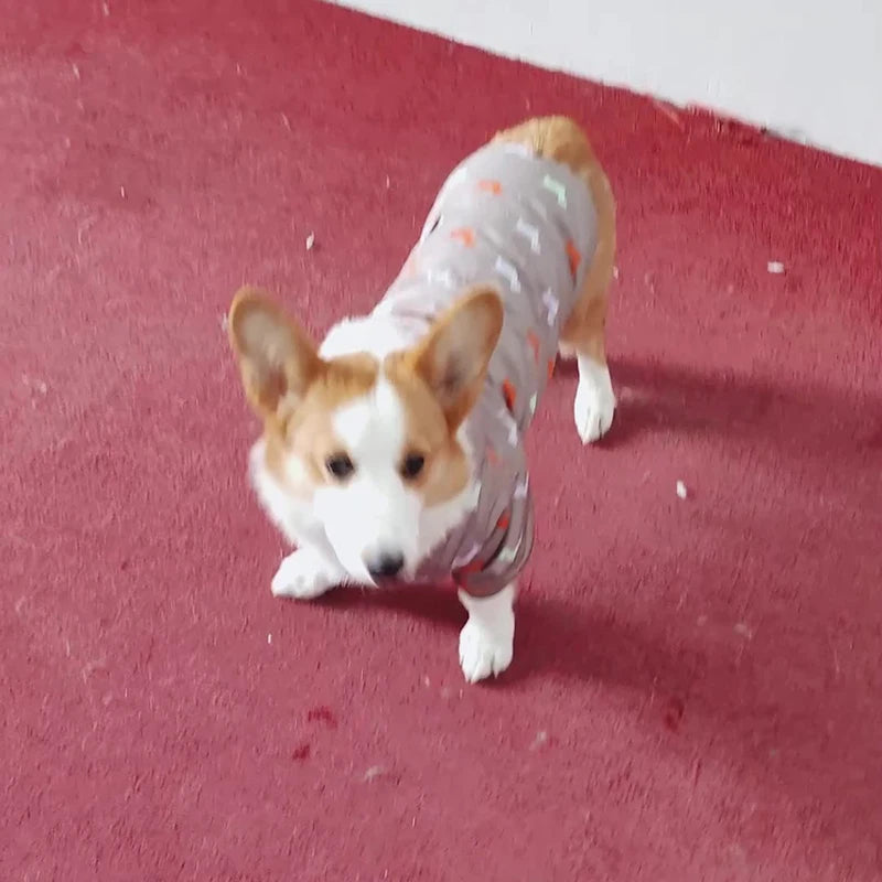 Fleece-Lined Hooded Coat for Dogs and Cats