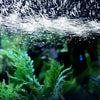 3-in-1 Silent Aquarium Filter with Wave Maker and Oxygenation