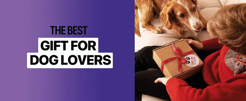 Dog Ultrasonic Bark Deterrent with Rechargeable Battery and LED Light