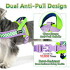 Quick-Release No-Choke Dog Harness with Dual D-Rings