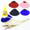 Adjustable Bird Recovery Collar – Anti-Pecking Protective Neck Sleeve