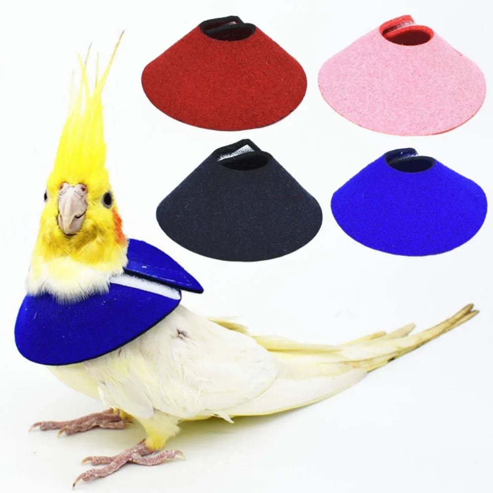 Adjustable Bird Recovery Collar – Anti-Pecking Protective Neck Sleeve