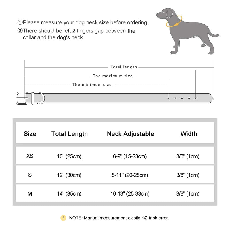 Individuell gravierte Leder-Hundehalsband mit ID-Tag