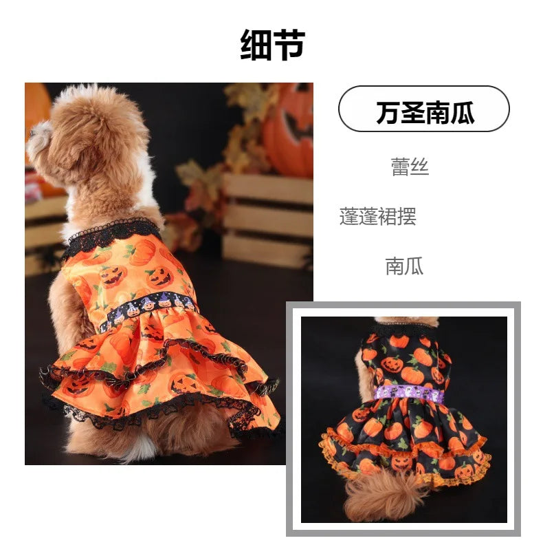 Pumpkin Lace Dog Dress for Small Dogs