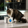 Fuente de Agua Automática para Mascotas de Acero Inoxidable
