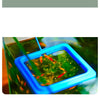 Schwimmender Futterring mit Saugnapf