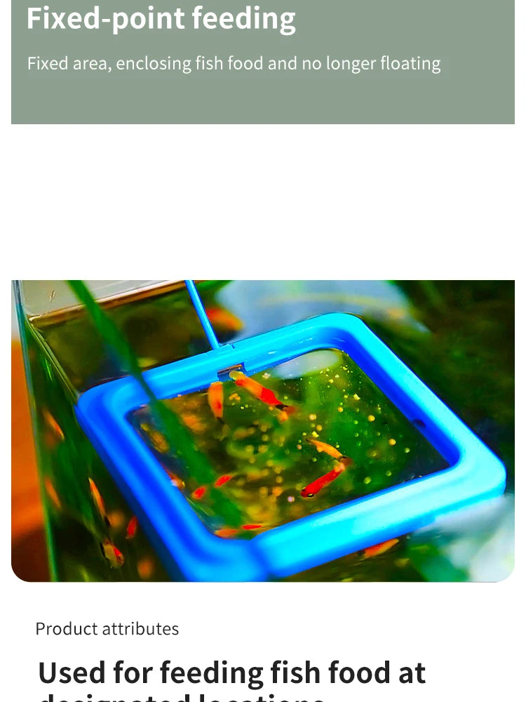 Schwimmender Futterring mit Saugnapf