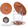 Automatic Bird Feeder with Nut Dispenser for Outdoor Hanging