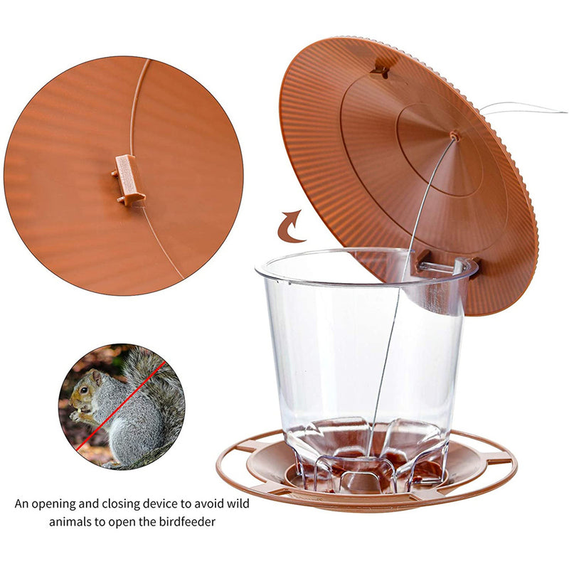 Automatic Bird Feeder with Nut Dispenser for Outdoor Hanging