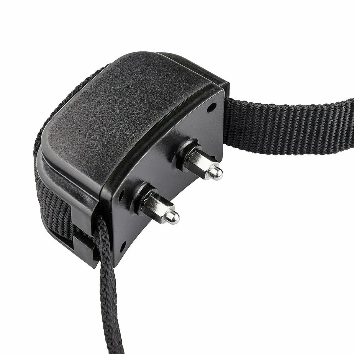 Rechargeable Waterproof Dog Training Collar with Remote